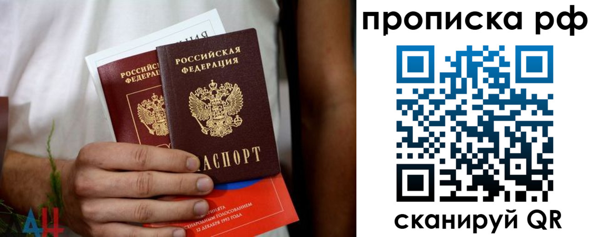 регистрация в Воронежской области